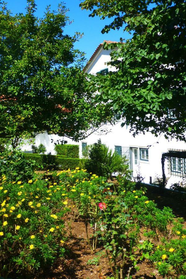 Bed and Breakfast Comfy Сінтра Екстер'єр фото